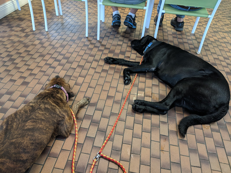 Beachwood Animal Clinic