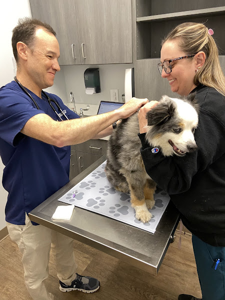 Belmont Animal Hospital