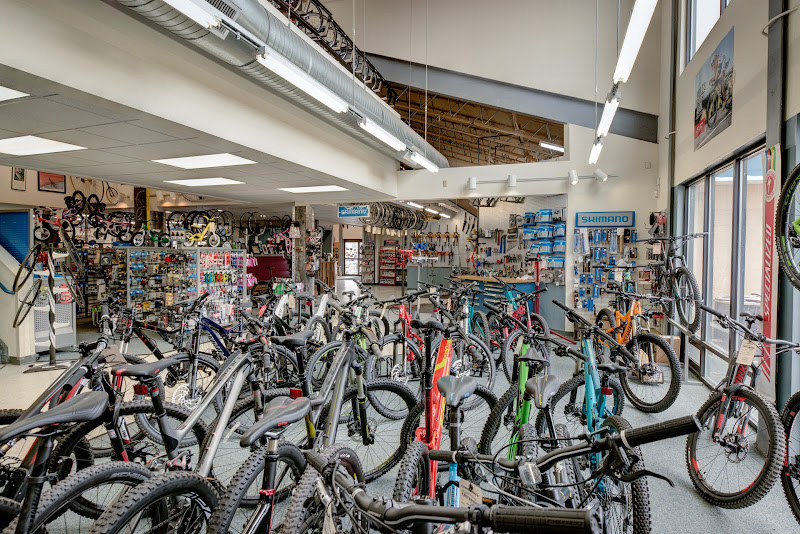 Criterium Bicycles - Bicycle Shop in Colorado Springs