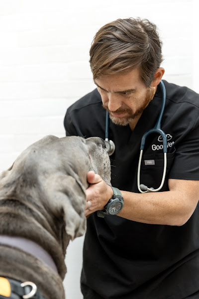 GoodVets Fort Lauderdale