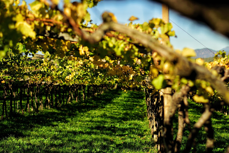 The Simple Wine - Wine store in Fort Lauderdale
