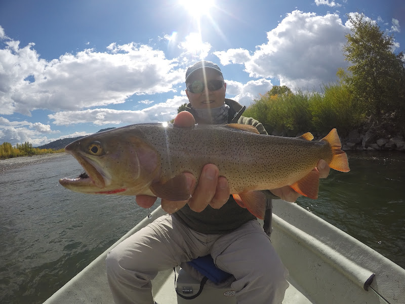 Jackson Hole Fishing Adventures LLC
