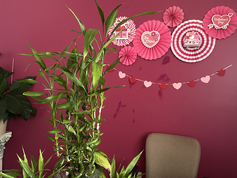 Asian Massage - Chiropractor in Destin