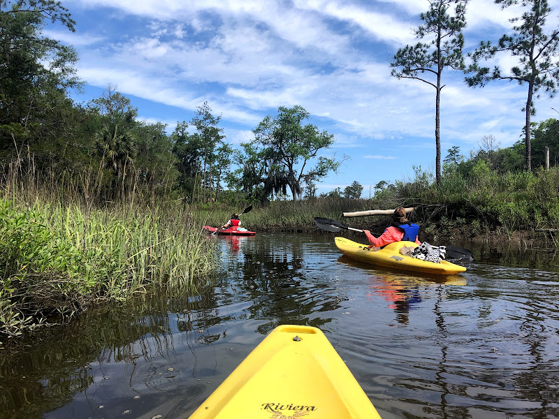 Moon River Kayak Tours and Rentals