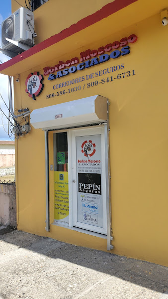 Borbon Moscoso & Asocs. - Insurance broker in Puerto Plata 57000