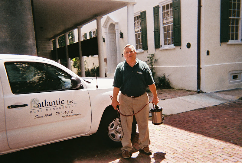 Atlantic Pest and Termite Management, Inc. - Pest control service in Charleston