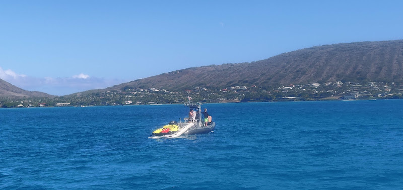 Island Water Sports Hawaii - Tour agency in Honolulu