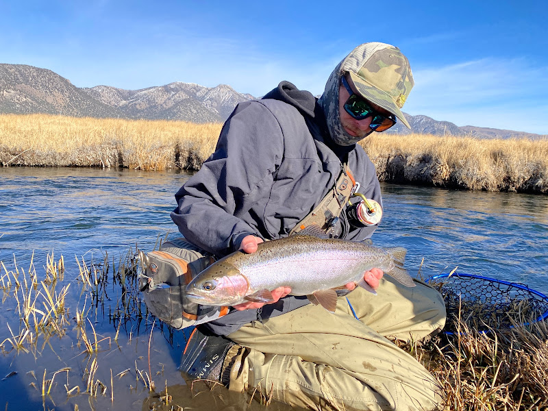 Wild Fly Anglers - Fishing charter in Mammoth Lakes