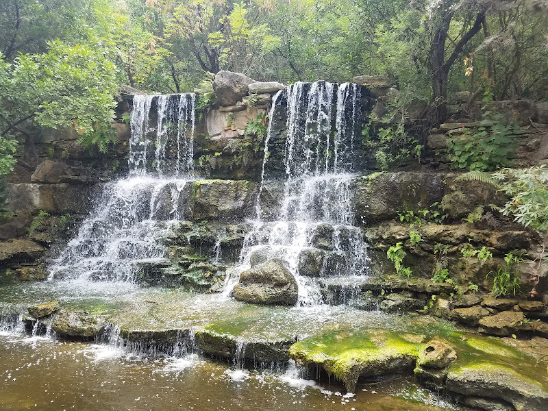 Zilker Botanical Garden - Tourist attraction in Austin