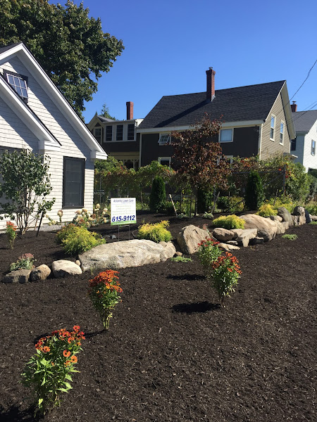 ALC Property Services