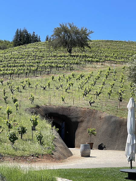 Bella Vineyards & Wine Caves