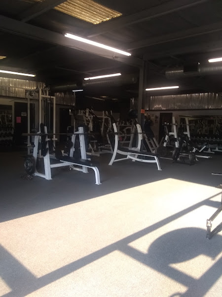 XL Fitness