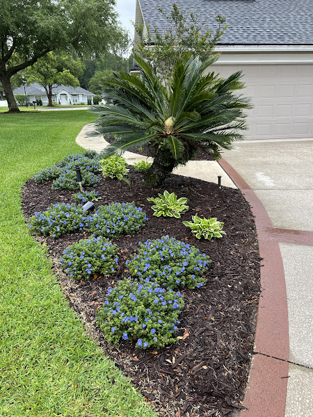 Big Oak Landscape Design | Landscaping St Augustine