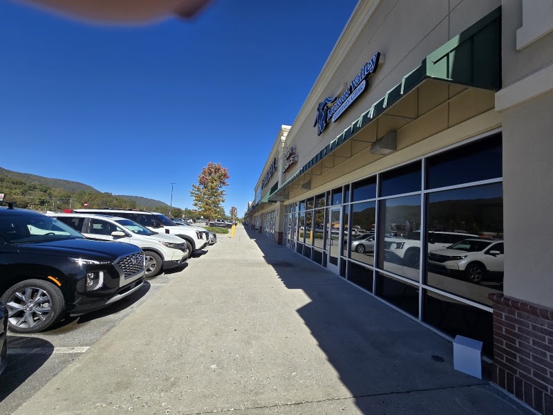 Lookout Valley Veterinary Clinic photo