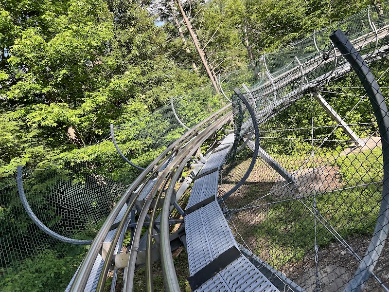 Ripley's Mountain Coaster photo