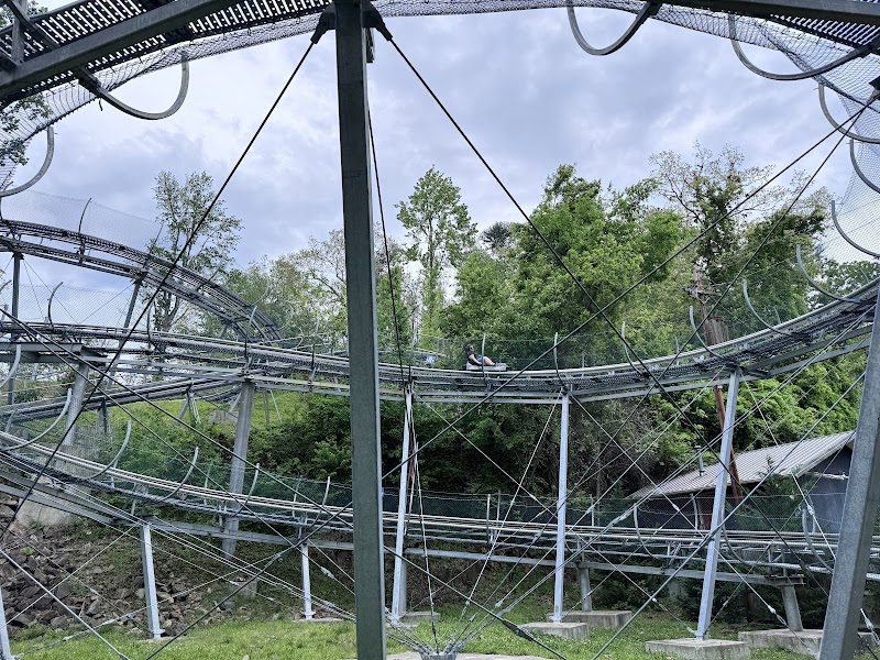 Ripley's Mountain Coaster photo