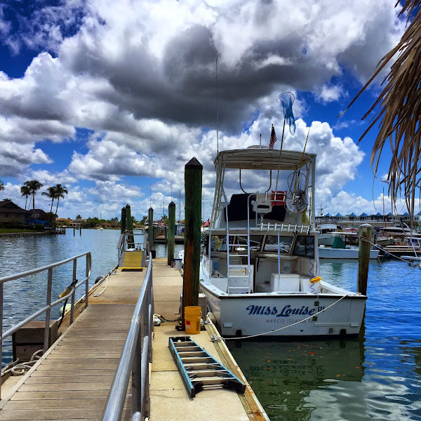 Sunshine Tours & Charters