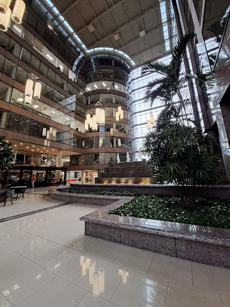 M.A. Rubin CPA, PLLC Stop IRS Tax Problems - Certified public accountant in Tampa