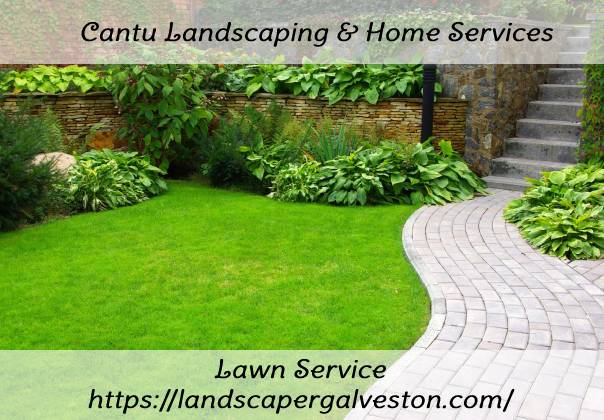 Cantu Landscaping & Home Services - Lawn care service in Galveston