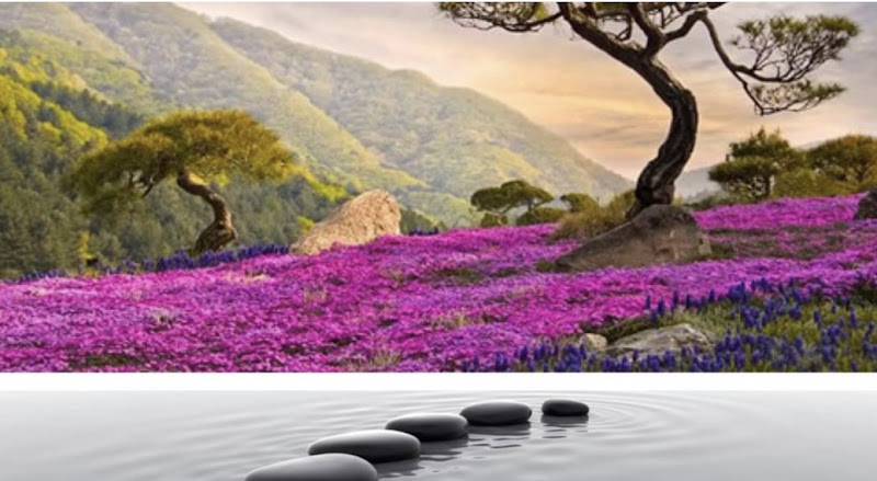 Lotus Spa & Sauna