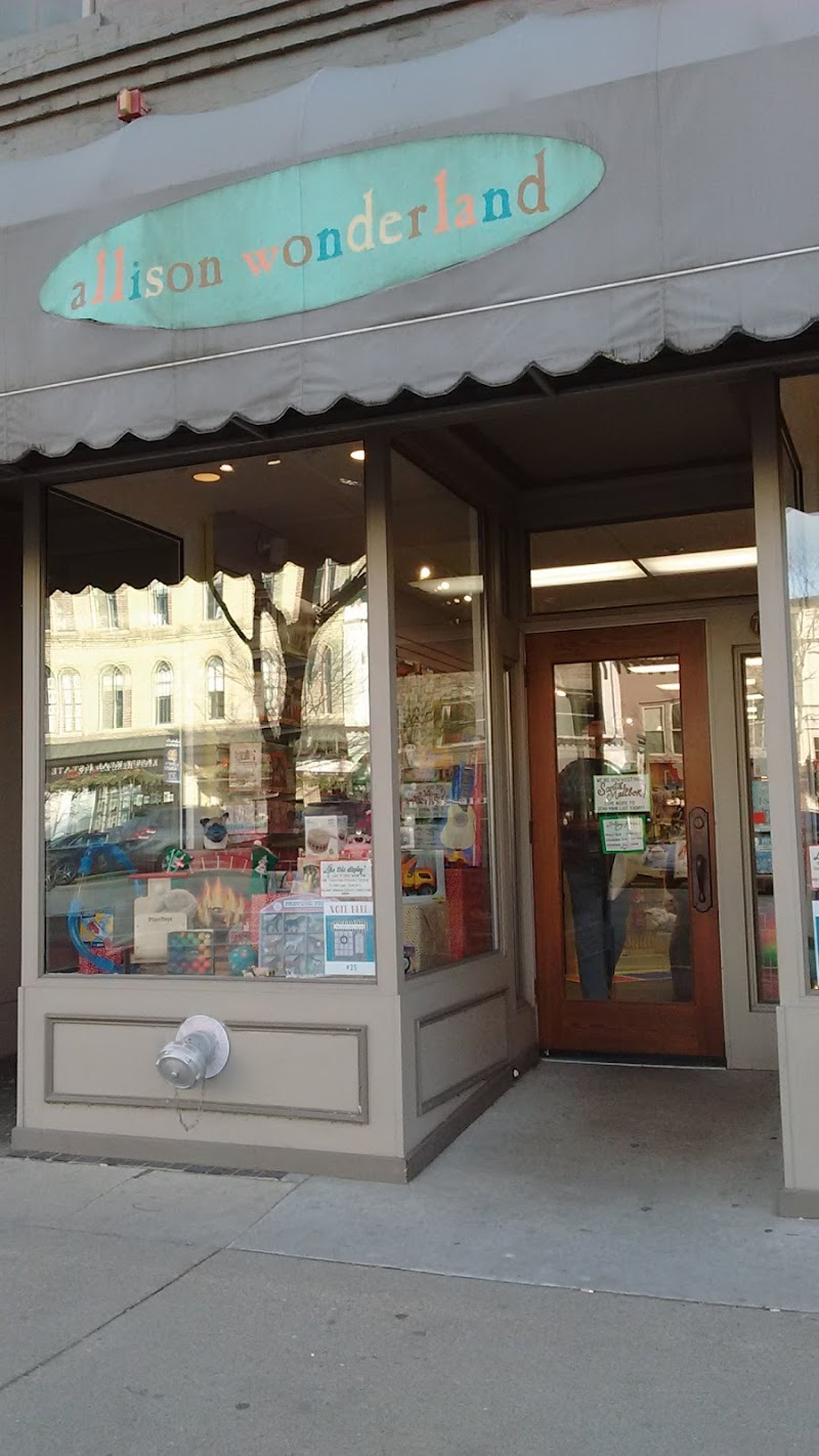Allison Wonderland - Toy store in Lake Geneva