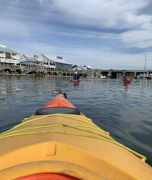 Charleston Kayak - Canoe & kayak rental service in Charleston