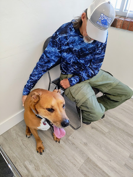 Coronado Animal Clinic