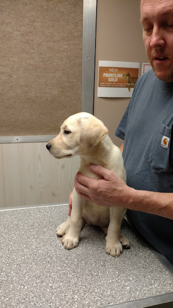 Scenic Hills Veterinary Hospital