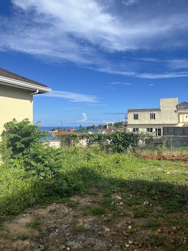 LANCEWOOD MEADOWS photo