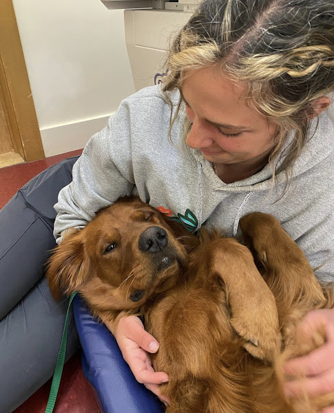 Foothills Veterinary Hospital