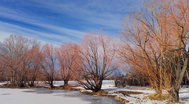 Bozeman Pond photo