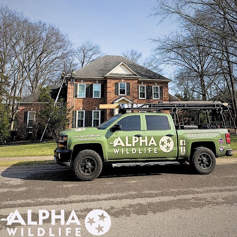 Alpha Wildlife Chattanooga photo