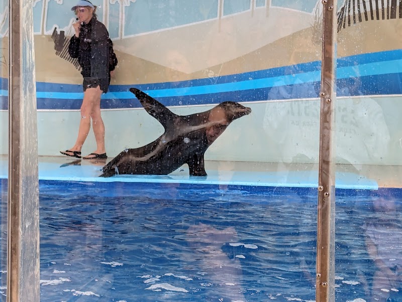 Gulfarium Marine Adventure Park photo