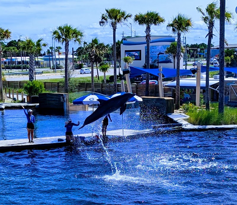 Gulfarium Marine Adventure Park photo