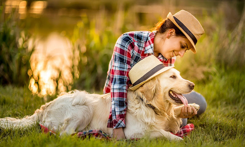 Kirkman Road Veterinary Clinic