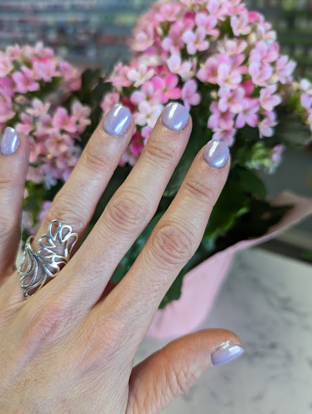 Top Nails - Nail salon in South Haven