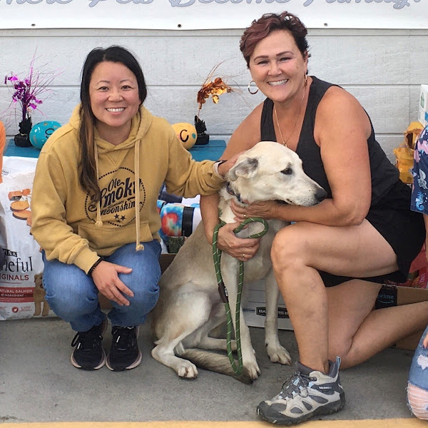 Sevier County Animal Shelter