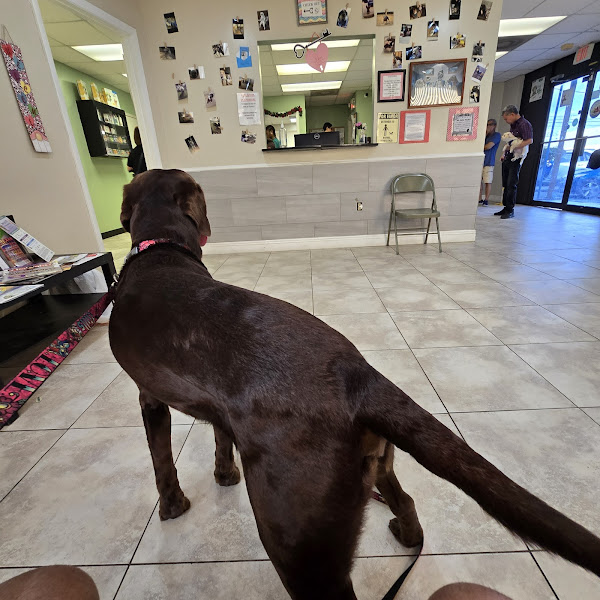 Semoran & 408 Pet Doc Hospital