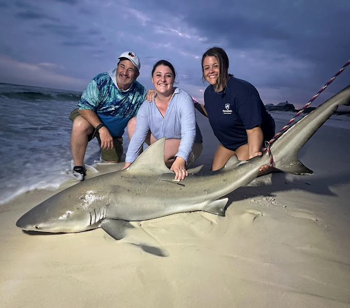 K.M. Shark Fishing Charters & Surf Fishing Excursions - Fishing charter in Navarre