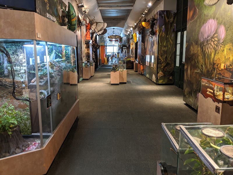 Audubon Insectarium photo