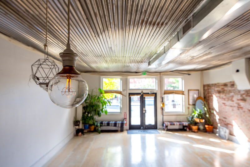 Urban Sanctuary
