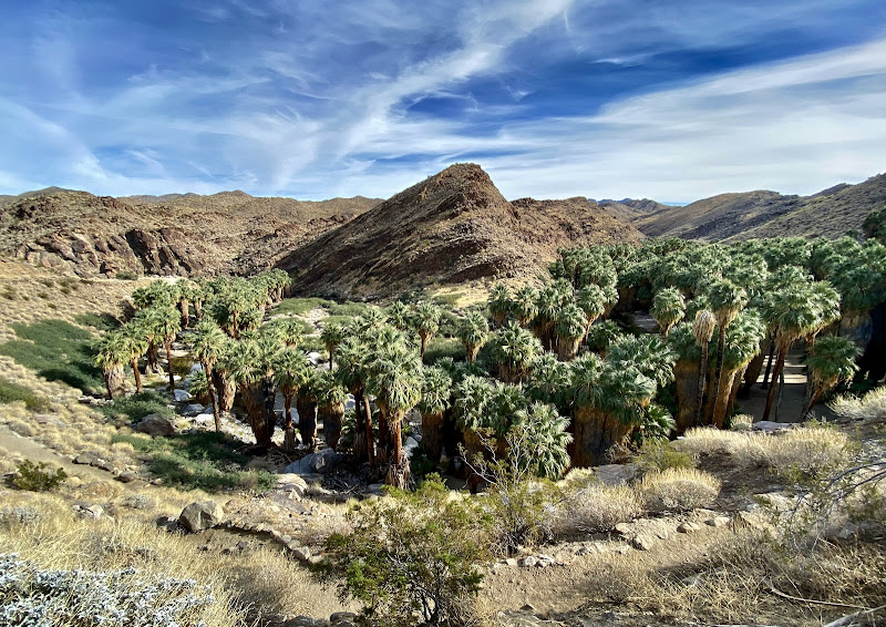 Palm Canyon - Tourist attraction in CA 92264