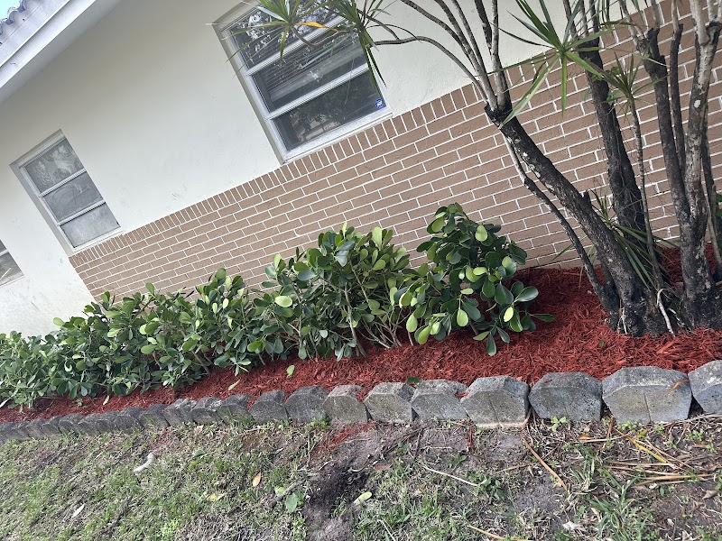 Edwin landscaping service - Landscaper in Fort Lauderdale