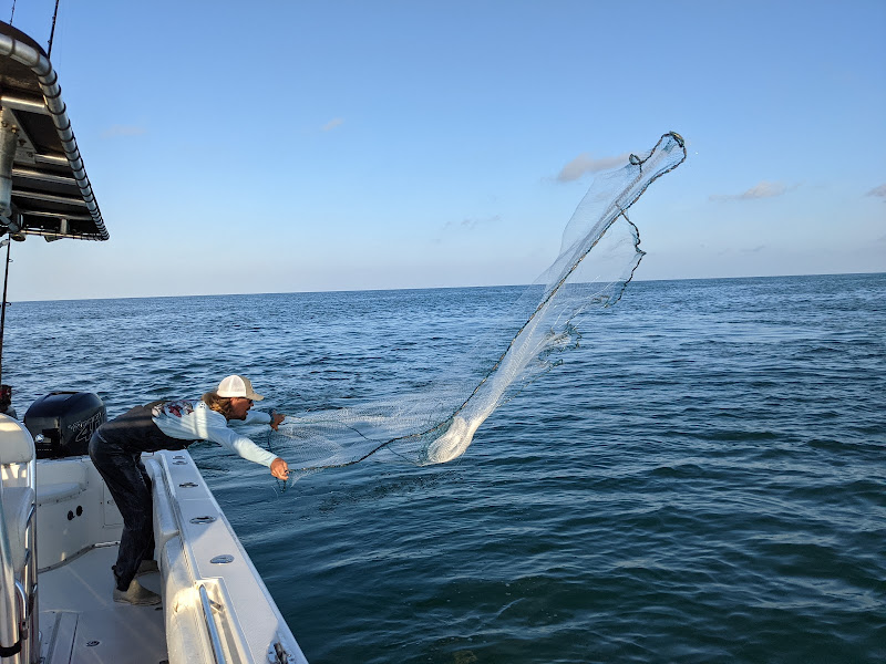 Blue Runner Marco Island Fishing Charters - Fishing charter in Marco Island