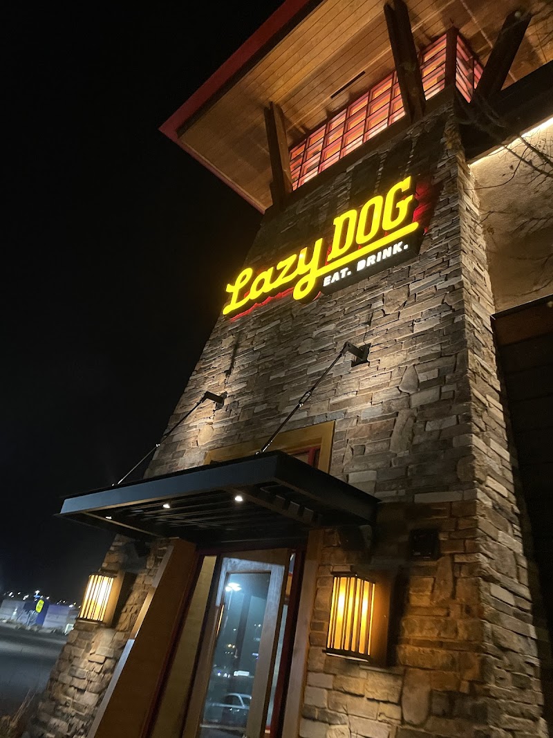 Lazy Dog Restaurant & Bar - American restaurant in Colorado Springs
