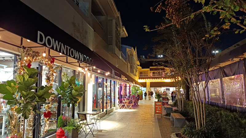 Hyde Park Village - Shopping mall in Tampa