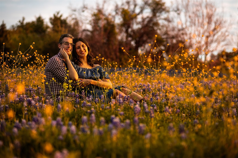 Michael T Davis Photography