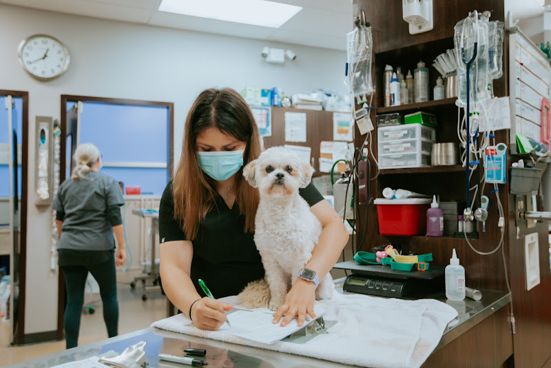 Metropolitan Veterinary Center - Veterinarian in Chicago