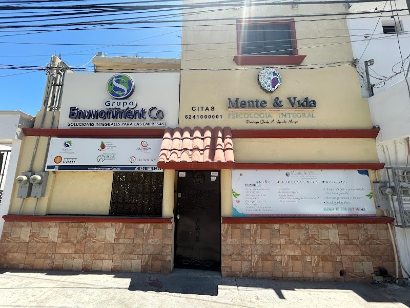 Grupo Environment co. - Pest control service in Villas de La Joya