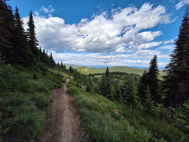 Danny On Trail - Tourist attraction in Whitefish
